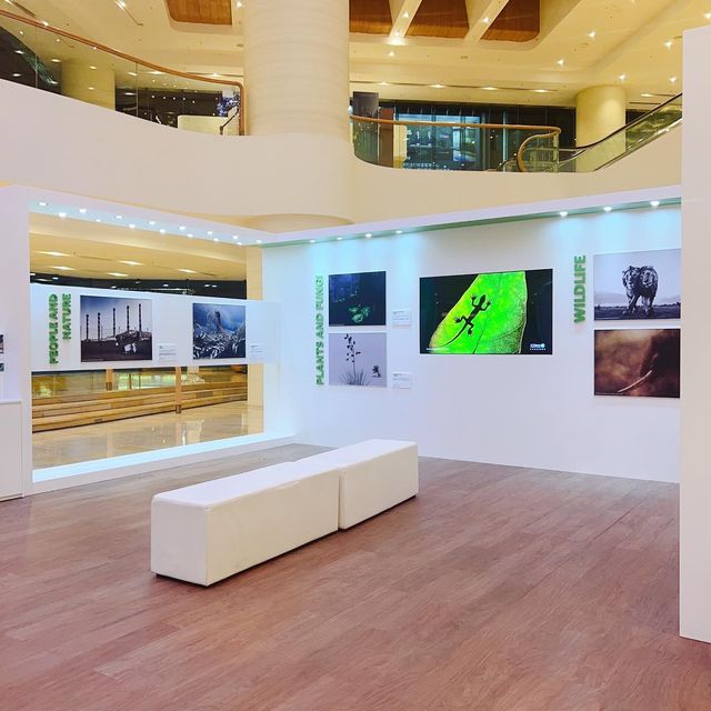 Pacific place 📷《 攝觸自然：TNC攝影比賽作品展 》，傳達大自然之美及喚醒公眾保育熱忱❣️