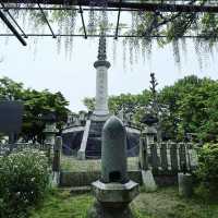 曼陀羅寺公園
