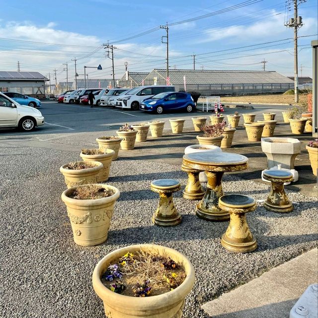 パンジーハウス🌼ひな祭り限定展示