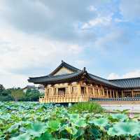 韓国全州にある蓮池が有名な“徳津公園”。