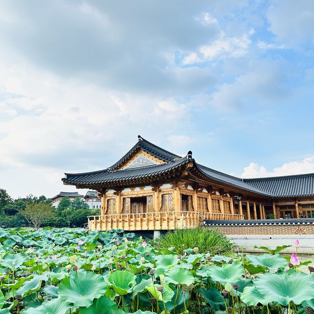 韓国全州にある蓮池が有名な“徳津公園”。 韓国全州にある蓮池が有名な“徳津公園”。
