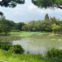 Forest Park