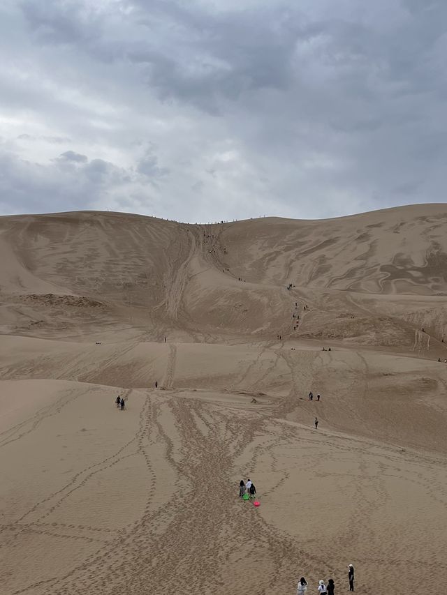 세계 5대 사막에서 사막썰매 타기, 고비사막 🌵
