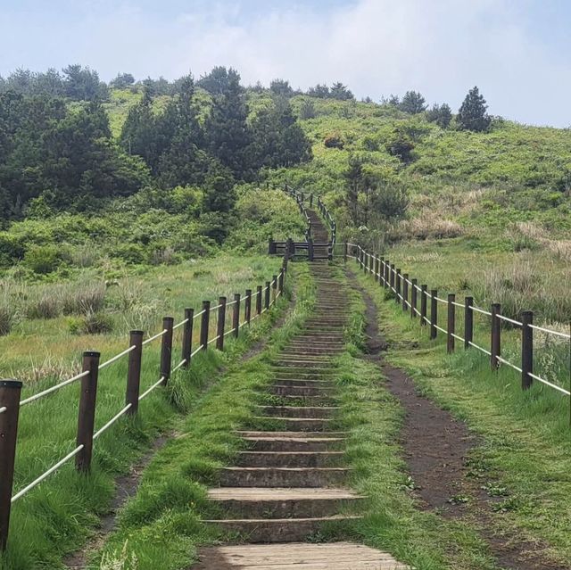 🌳 넓직한 풍경과 풍차 풍경이 보이는 백약이오름