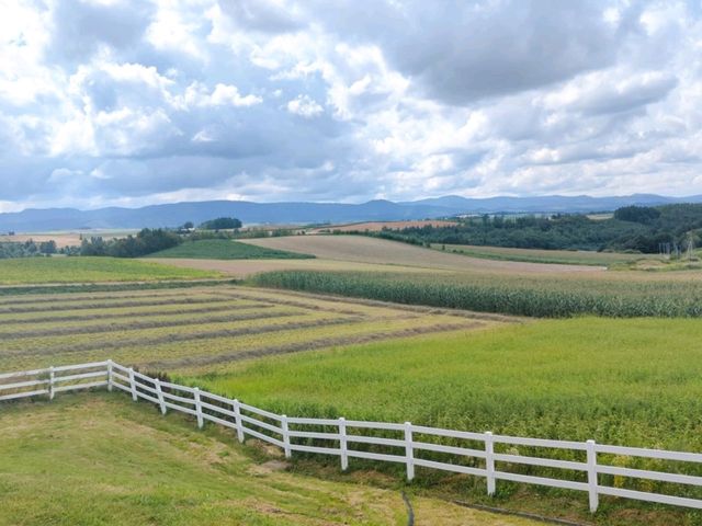 北海道の雄大な景色！新栄の丘展望公園