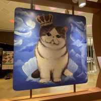 📣🐈黎V Walk 搵托腮貓打卡影相啦🐈📣