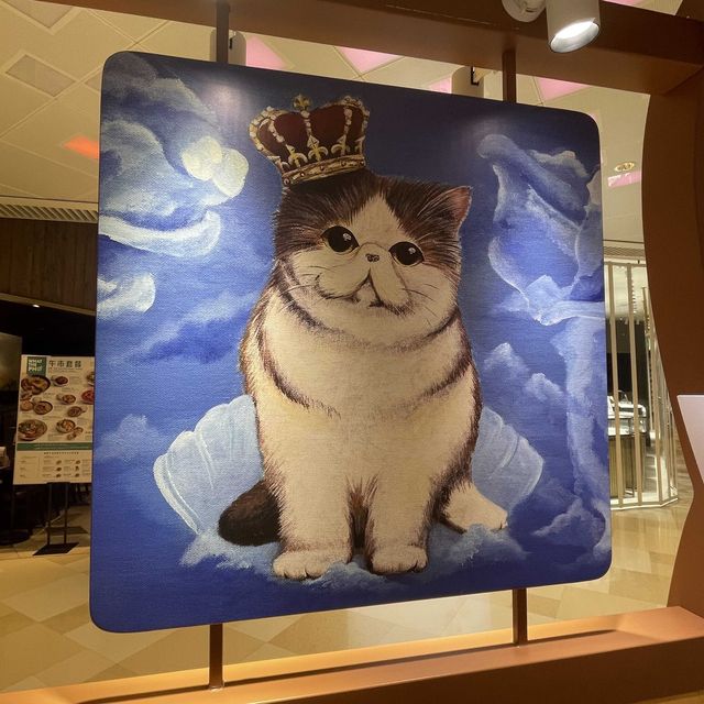 📣🐈黎V Walk 搵托腮貓打卡影相啦🐈📣