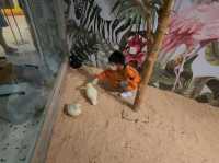 Lollypet萌寵樂園： 與動物零距離的夢幻體驗
