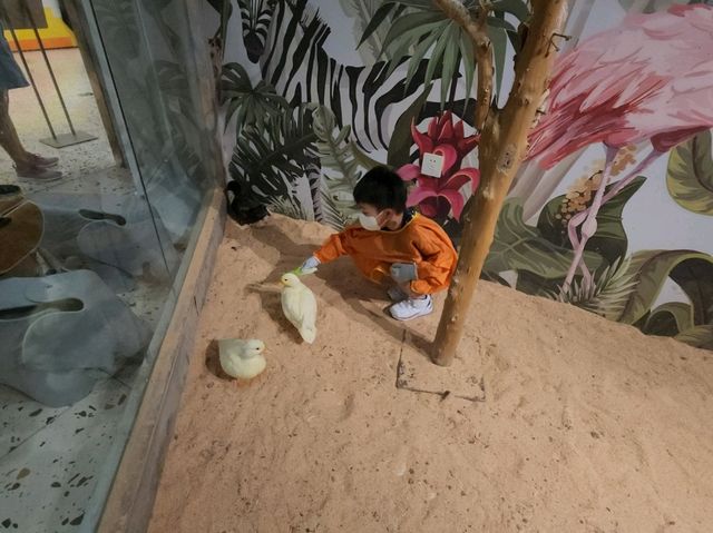 Lollypet萌寵樂園： 與動物零距離的夢幻體驗
