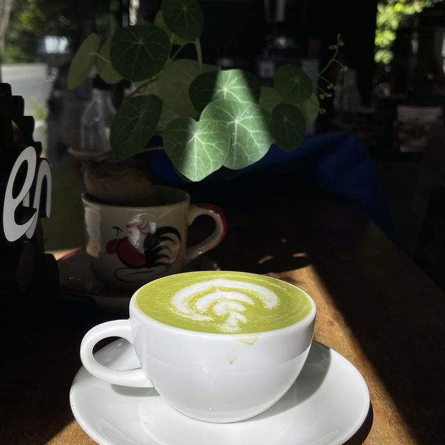 กาแฟดี ร้องขอชีวิต!! ติดริมทางวัดพระธาตุดอยสะเก็ด