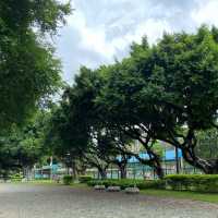 台中公園🐕