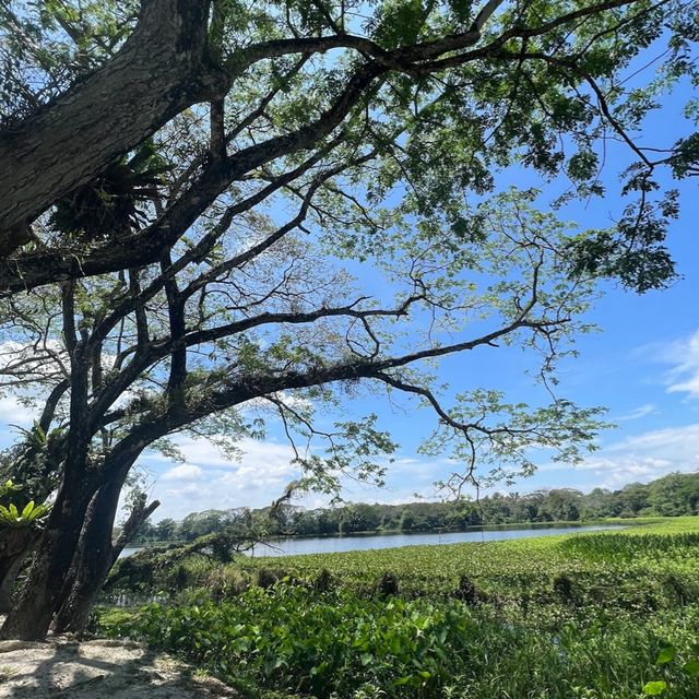 Kinta Nature Park Kinta Nature Park