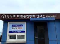 부산 청사포 투명 다리가? “청사포 다릿돌전망대”🌁