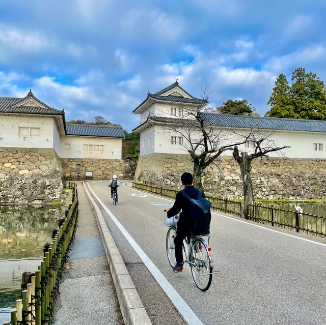 Hikone Heritage Hub: Unveiling History