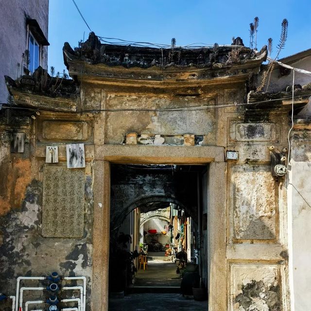 🏯🌸 澄湖古村～宗親建築的寶藏！🏮🍃🎋