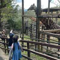 動物さんと触れ合いまくり★長崎バイオパーク