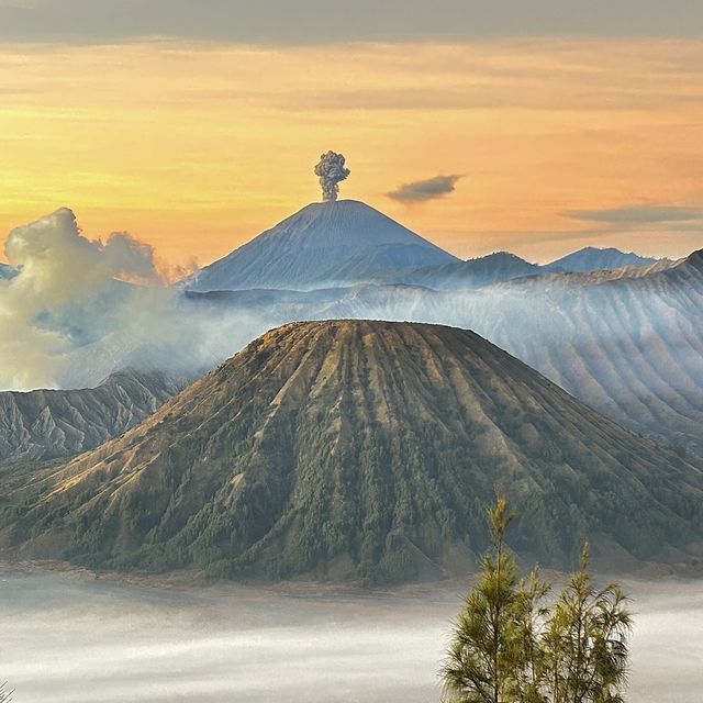 Scenery Trip Backpack Surabaya 4 day 3 night