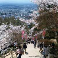 朝聖富士山第一景 新倉山淺間公園(part2)