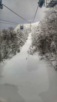 日本東北雪季奇景，山形縣藏王冰樹