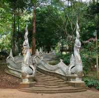 วัดเก่าแก่ในป่าลึกวัดหลวงขุนวิน