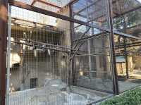 東京・上野。やっぱり『パンダ』の人気は絶大。日本で最初の動物園『上野動物園』