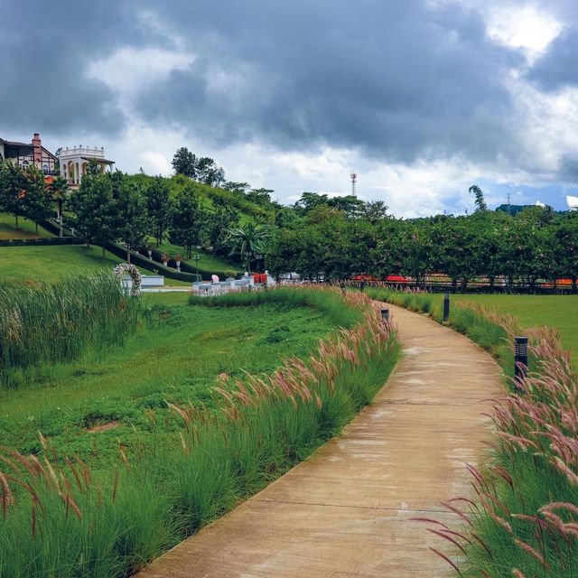 The Bluesky Garden เขาค้อ