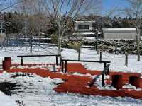 【静岡】富士山の見える絶景公園と雪景色