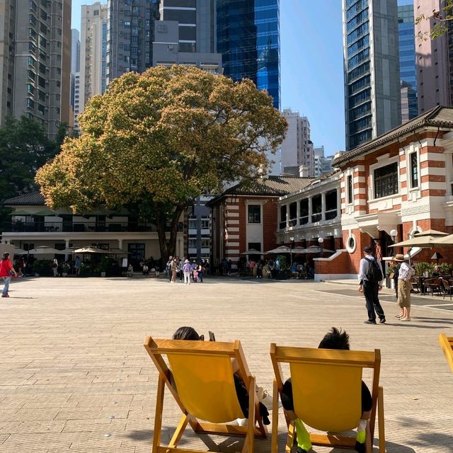 乘上開往春天的半山扶手電梯