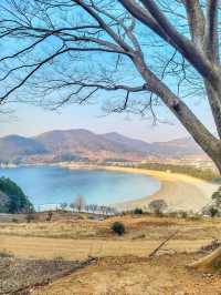 은모래비치 남해 상주해수욕장에서 힐링 여름휴가🏖