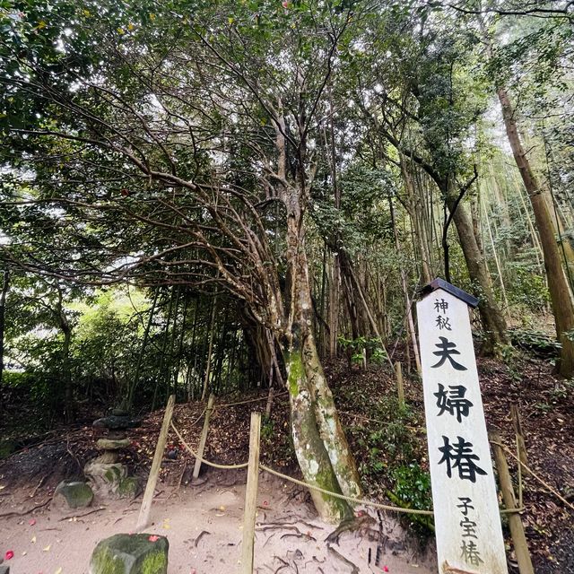 【島根県/八重垣神社と鏡の池】