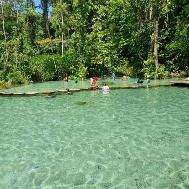 ป่าต้นน้ำบ้านน้ำราด 🌿