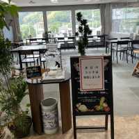 【愛媛県】自分好みの砥部焼のうつわ探しにぴったり！