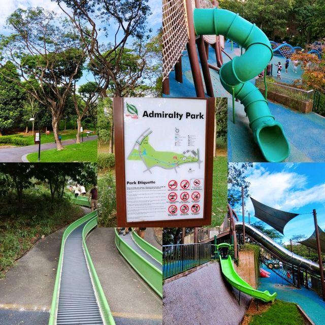 A Fun Playground and Green Nature for Kids 