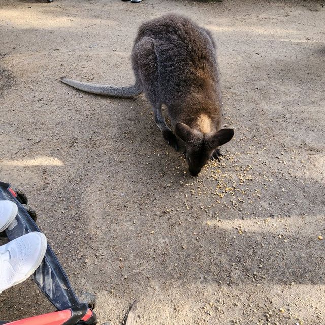 Sanctuary for wildlife at Moonlit