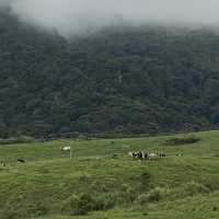 Ranau the wanderlust of KK