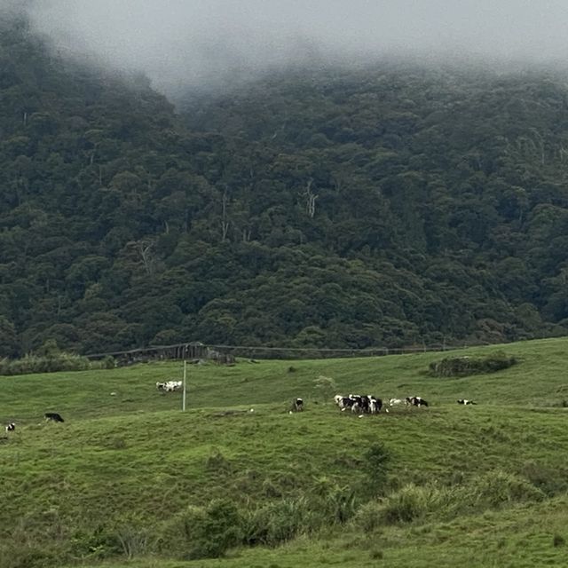 Ranau the wanderlust of KK