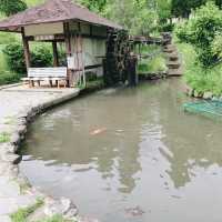 忍頂寺スポーツ公園【竜王山荘】燈々庵

ダムカレー