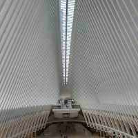 The Oculus In New York City
