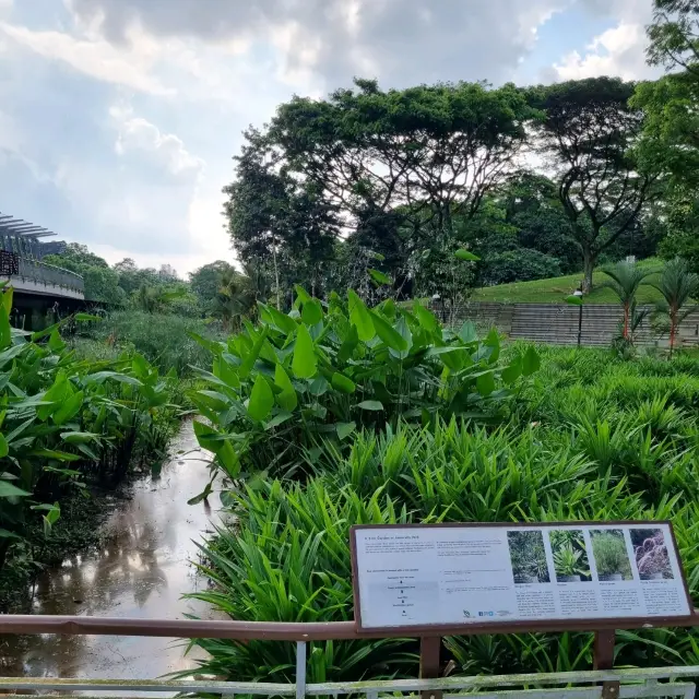 Relax with Nature At Admiralty Park