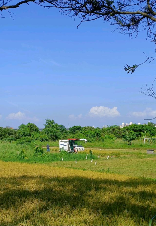 石門大圳過嶺支渠休憩步道
