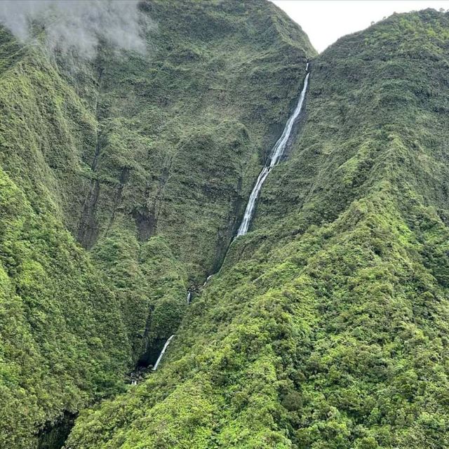 PARADISE ON EARTH - ALOHA FROM HAWAII 