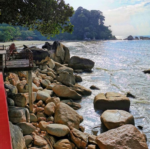 A laid-back nature getaway! 🍃