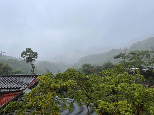 放鬆心情好去處🍵🍰一望無際的大自然境色！