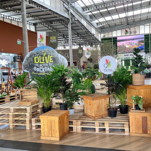 งานOlive in your backyard @theninetiwanon