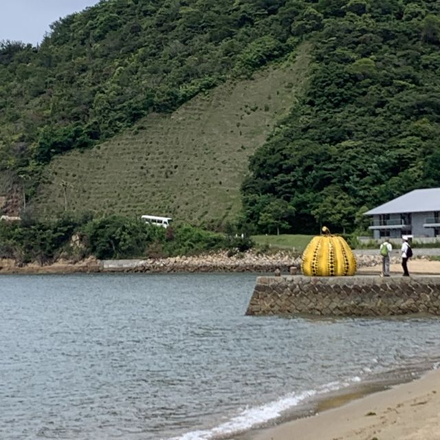 In search for the red and yellow pumpkins- Naoshima 