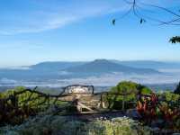 • จุดชมวิว ภูป่าเปาะ (จุดที่ 4) 🗻✨
