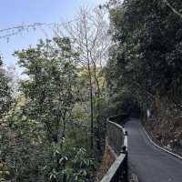 🇭🇰山頂健步,免費觀景台俯瞰維港