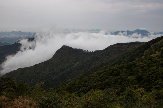 香港🇭🇰｜香港山野景色優美 （季節限定）🌟- 大帽山⛰️ 
