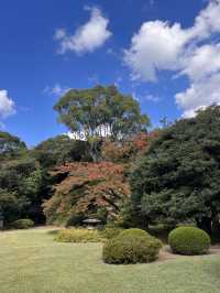 東京【駒込】六義園