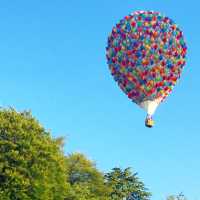 [Bristol] Amazing Hot Air Balloon Festival